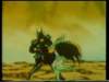 Photo Number 15